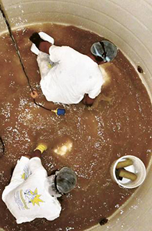 rainwater tank cleaning